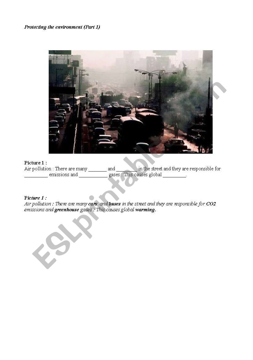 Protecting the environment worksheet