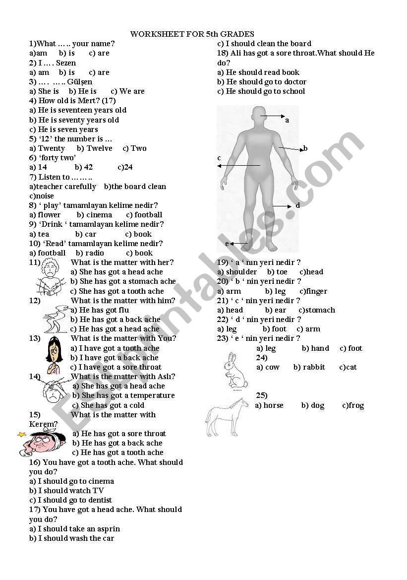 test for 5th grades worksheet