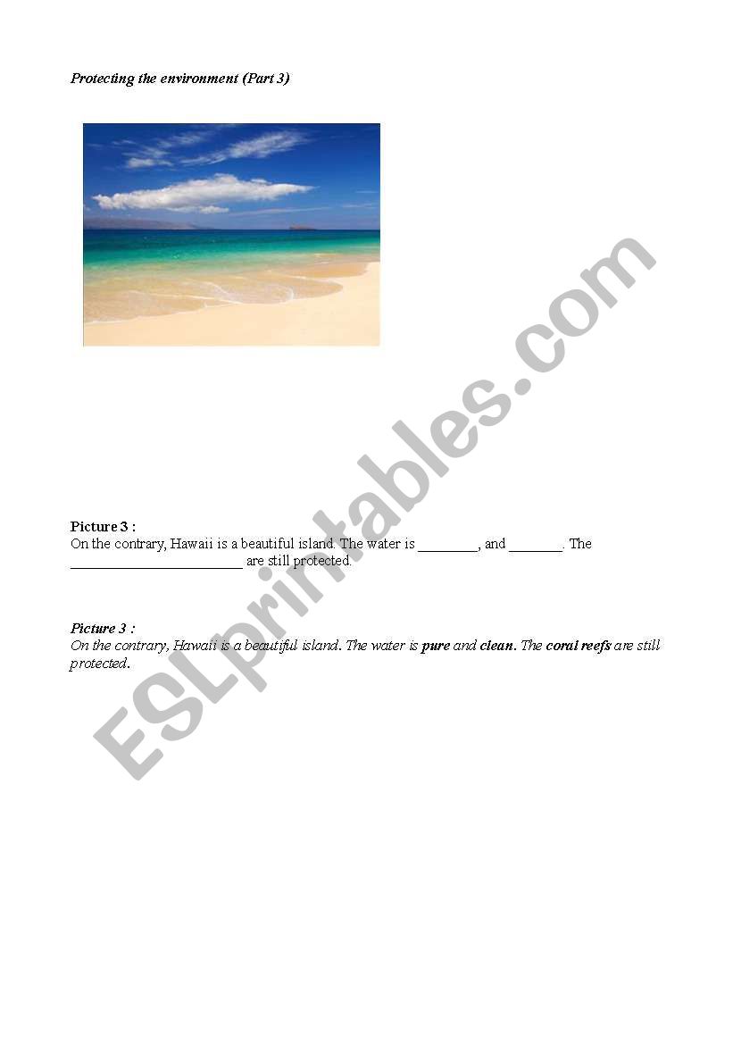 protecting the environment worksheet