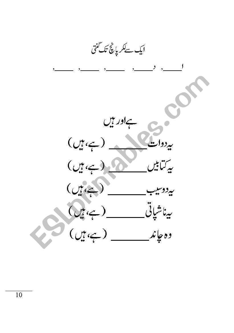 english worksheets english urdu work sheet