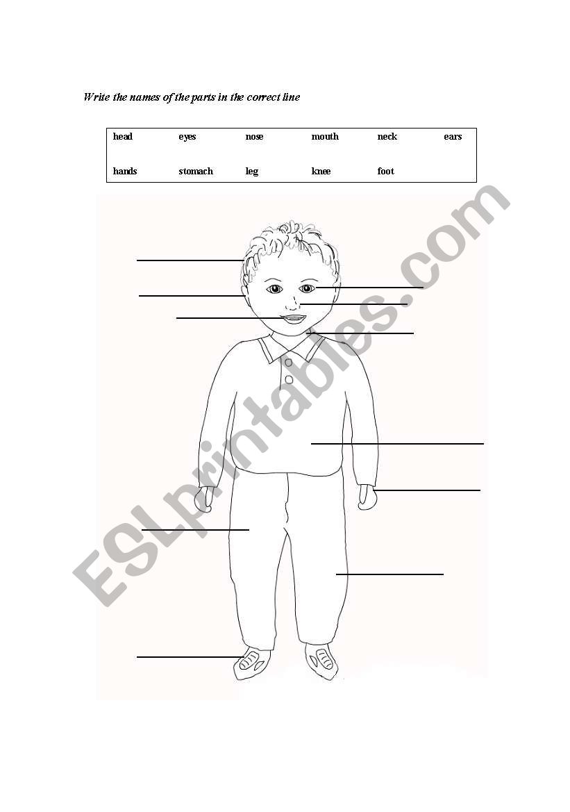 english-worksheets-parts-of-the-body