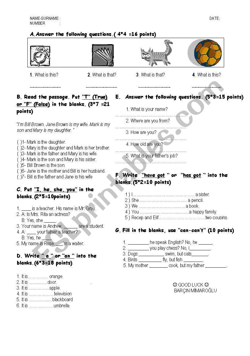 Grammer Quiz worksheet