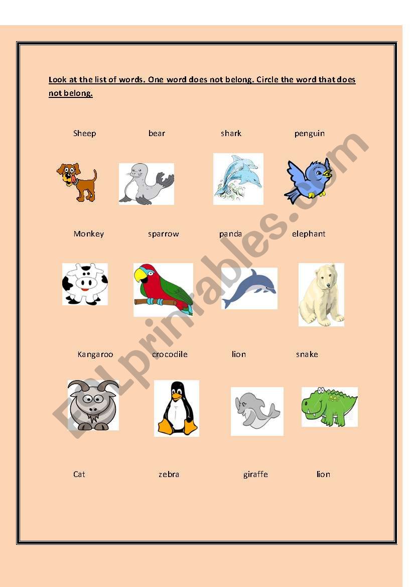 animal odd one out worksheet