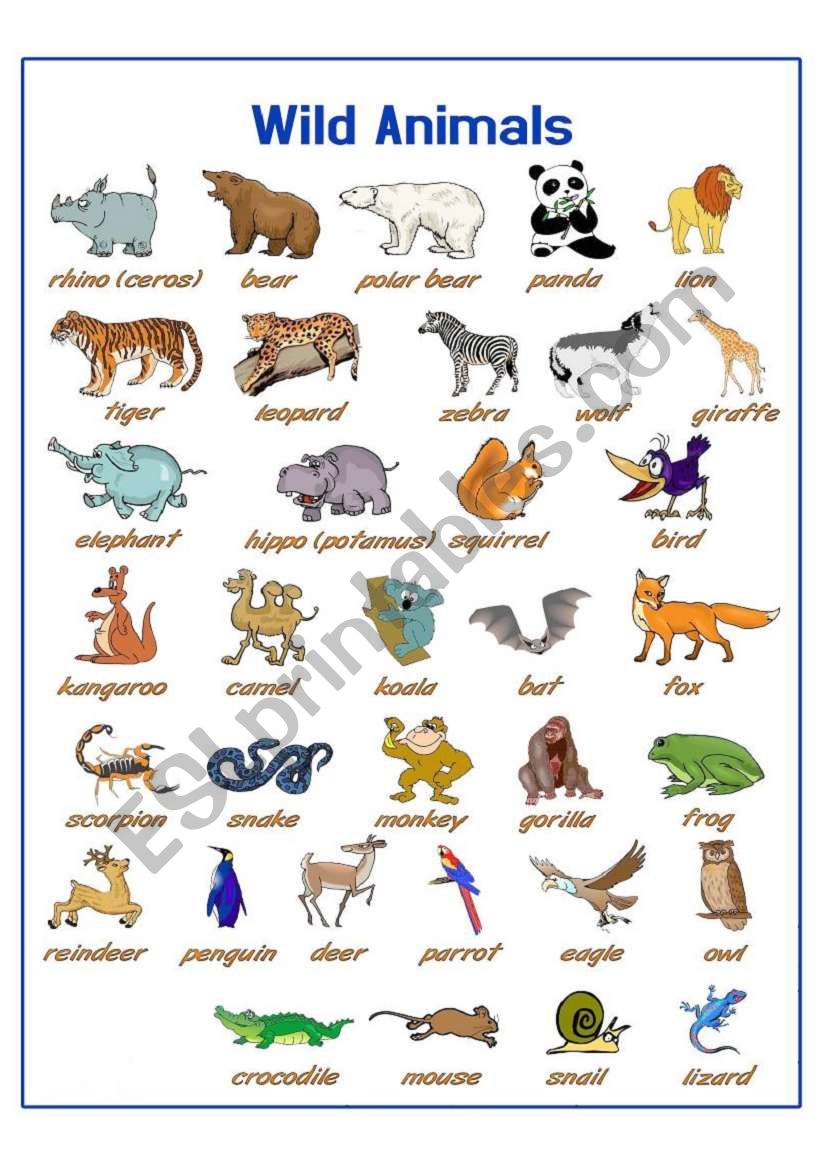 Wild Animals Worksheet Nehru Memorial