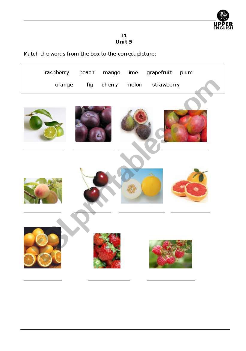 food I like worksheet