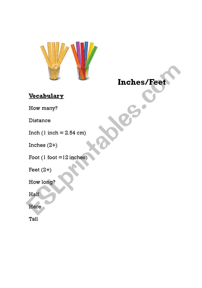 Inches worksheet