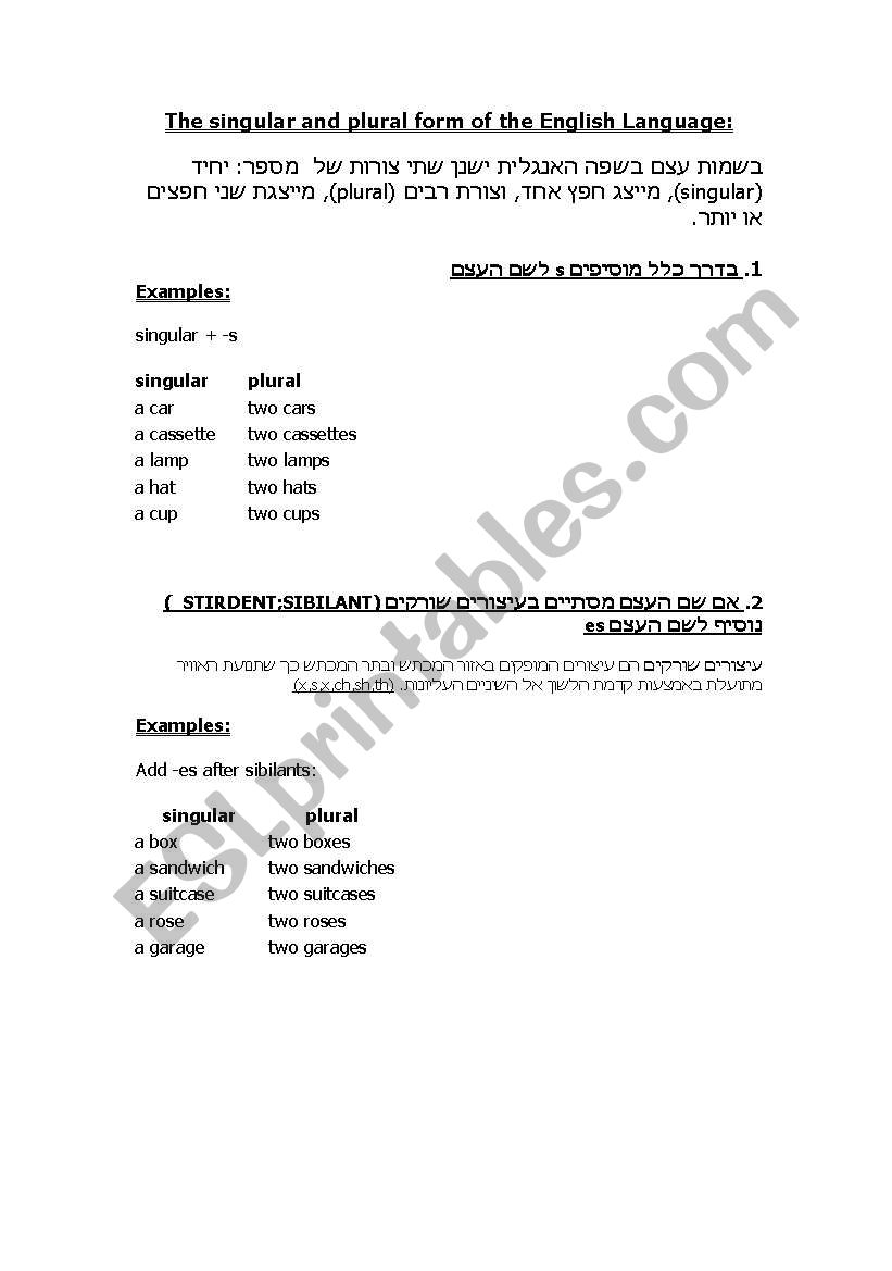 Plural form lesson worksheet