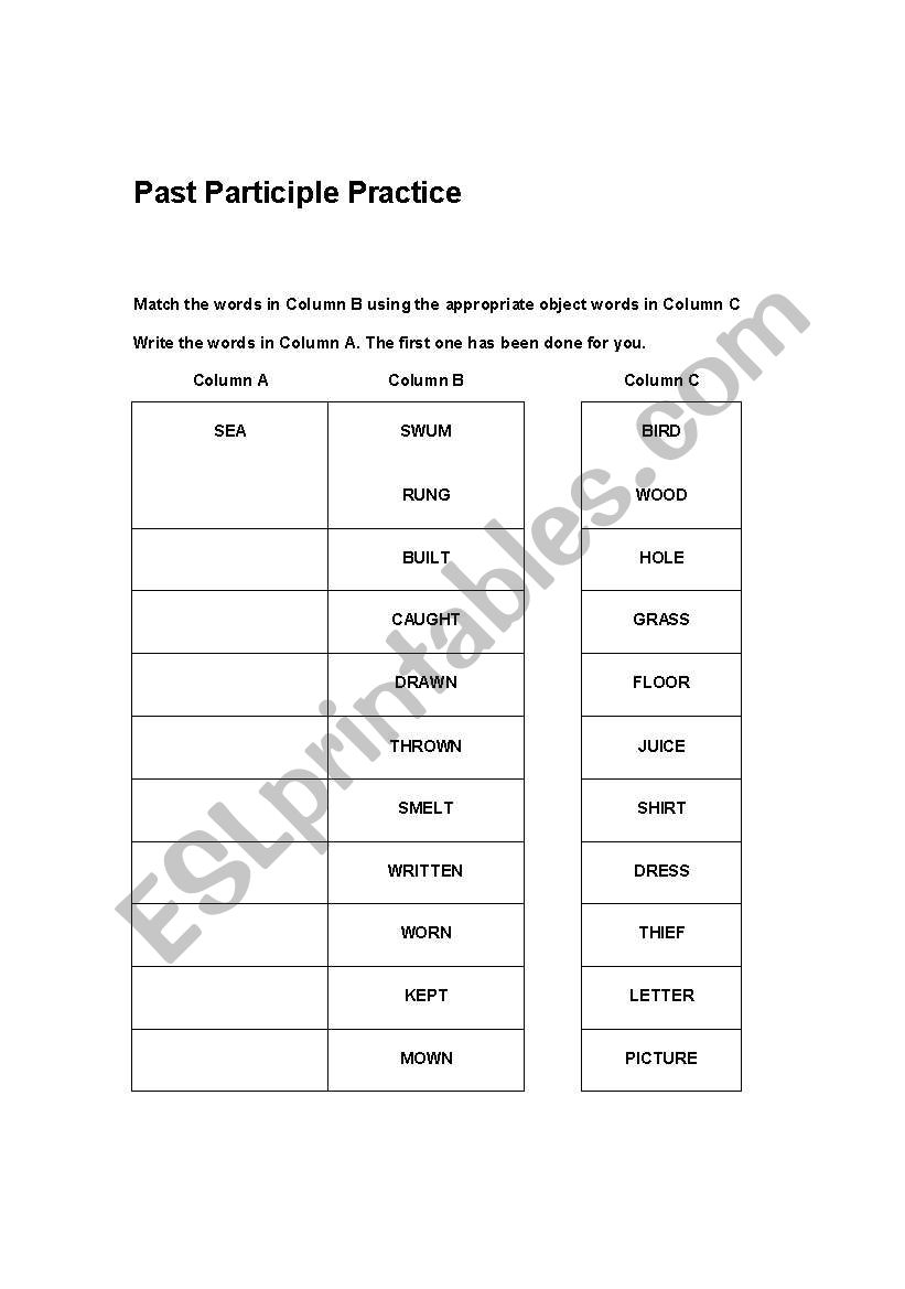 Past Particple Practice worksheet