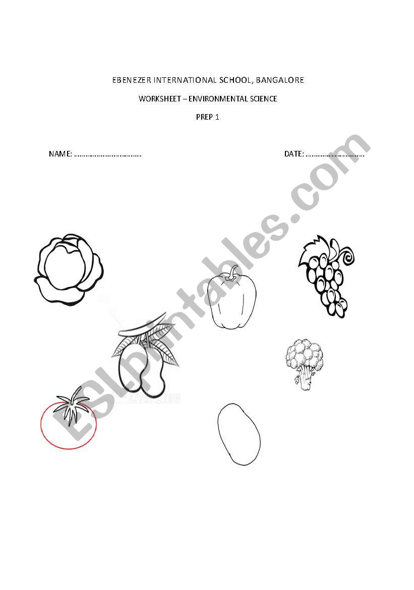 colour the vegetables worksheet