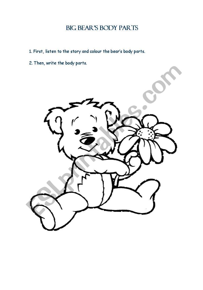 Big Bears Body Parts worksheet