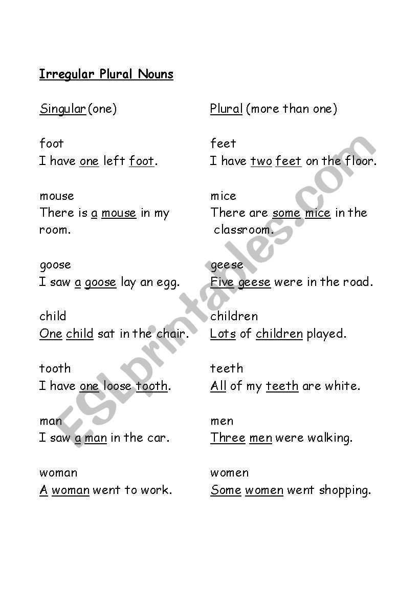 Irregular Plural Nouns worksheet