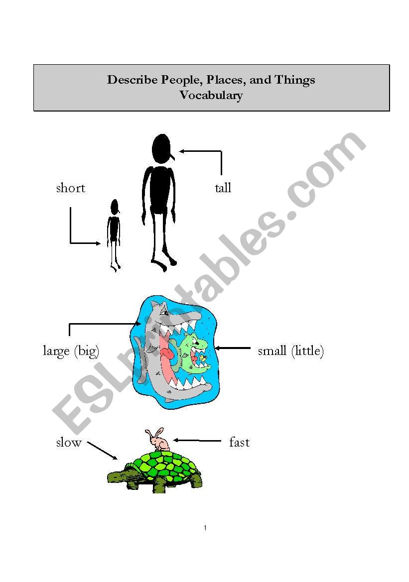 opposites worksheet