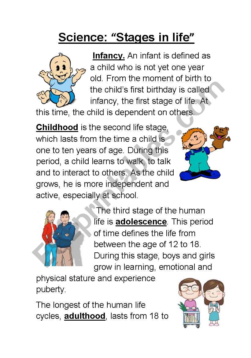 stages-in-life-life-cycle-of-humans-esl-worksheet-by-majess