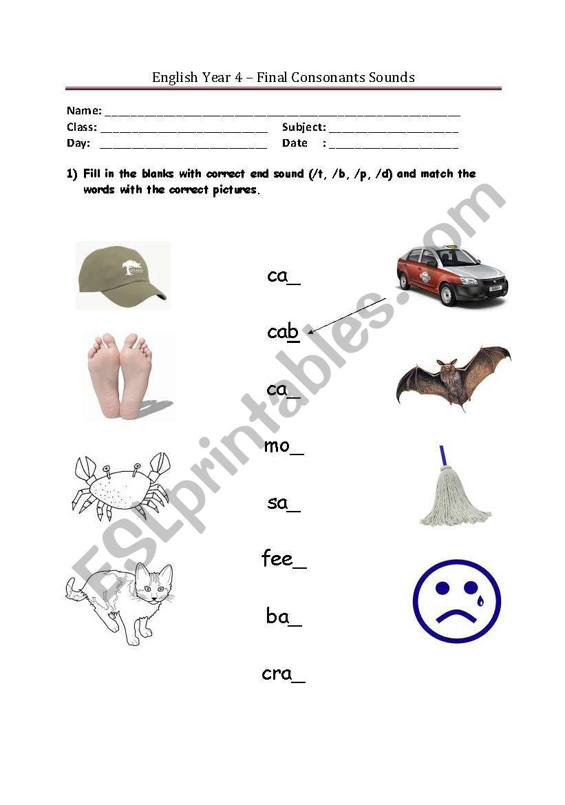 Final Consonant Sounds (/t, /b, /p, /d) 