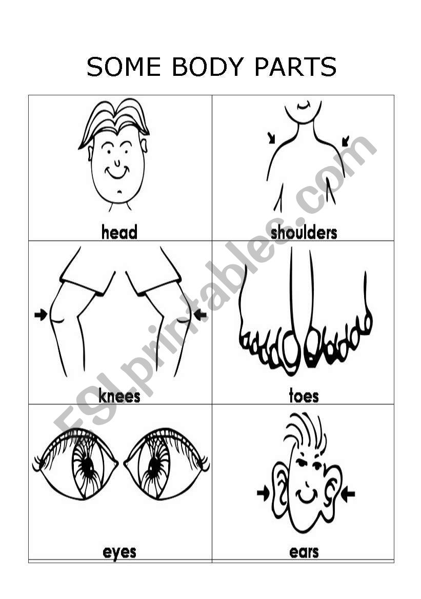 Some Body Parts worksheet