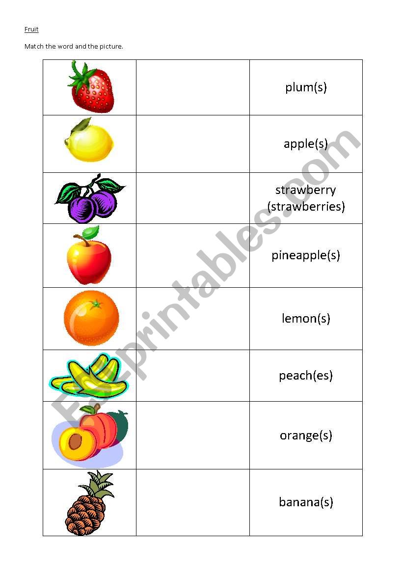 Fruit Matching exercise worksheet