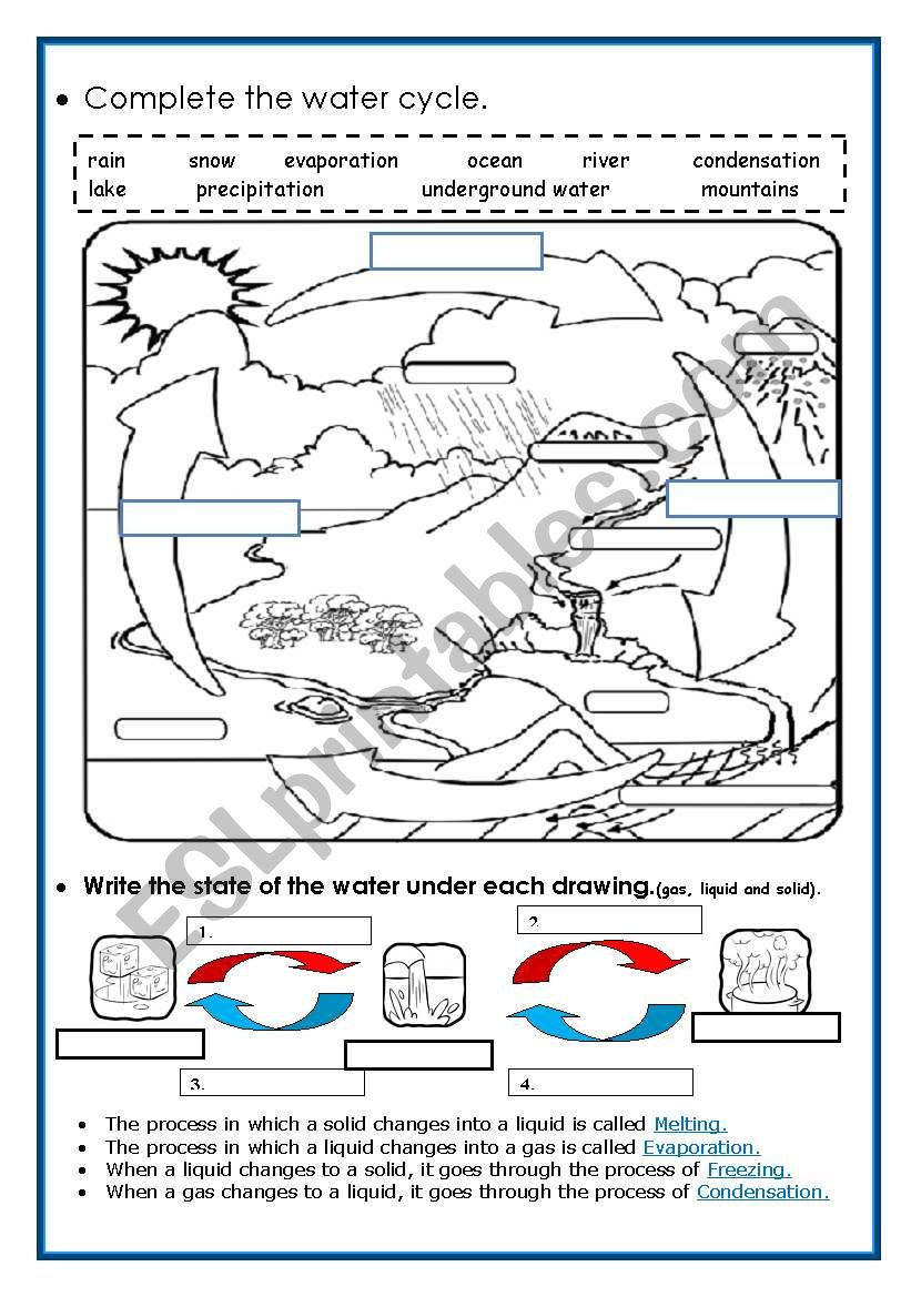 Worksheets On The Water Cycle