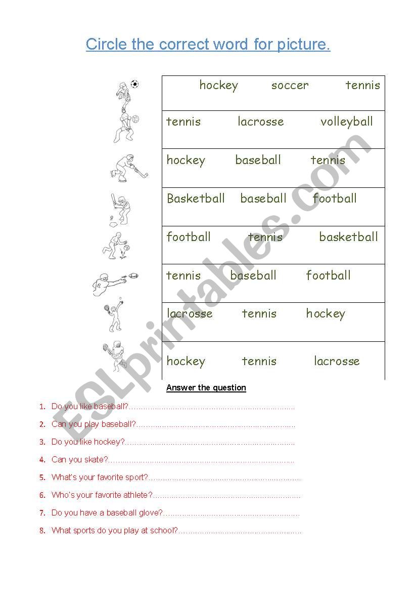 sports worksheet