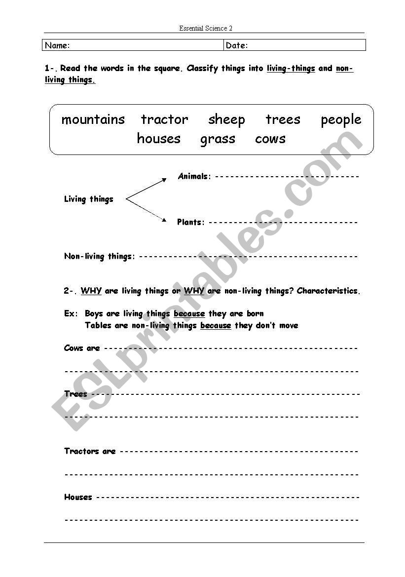 English worksheets: Science