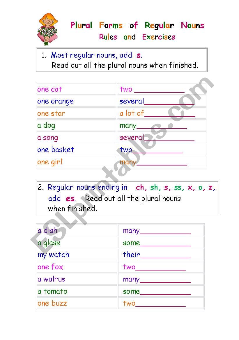 Plural Forms of Regular Nouns worksheet