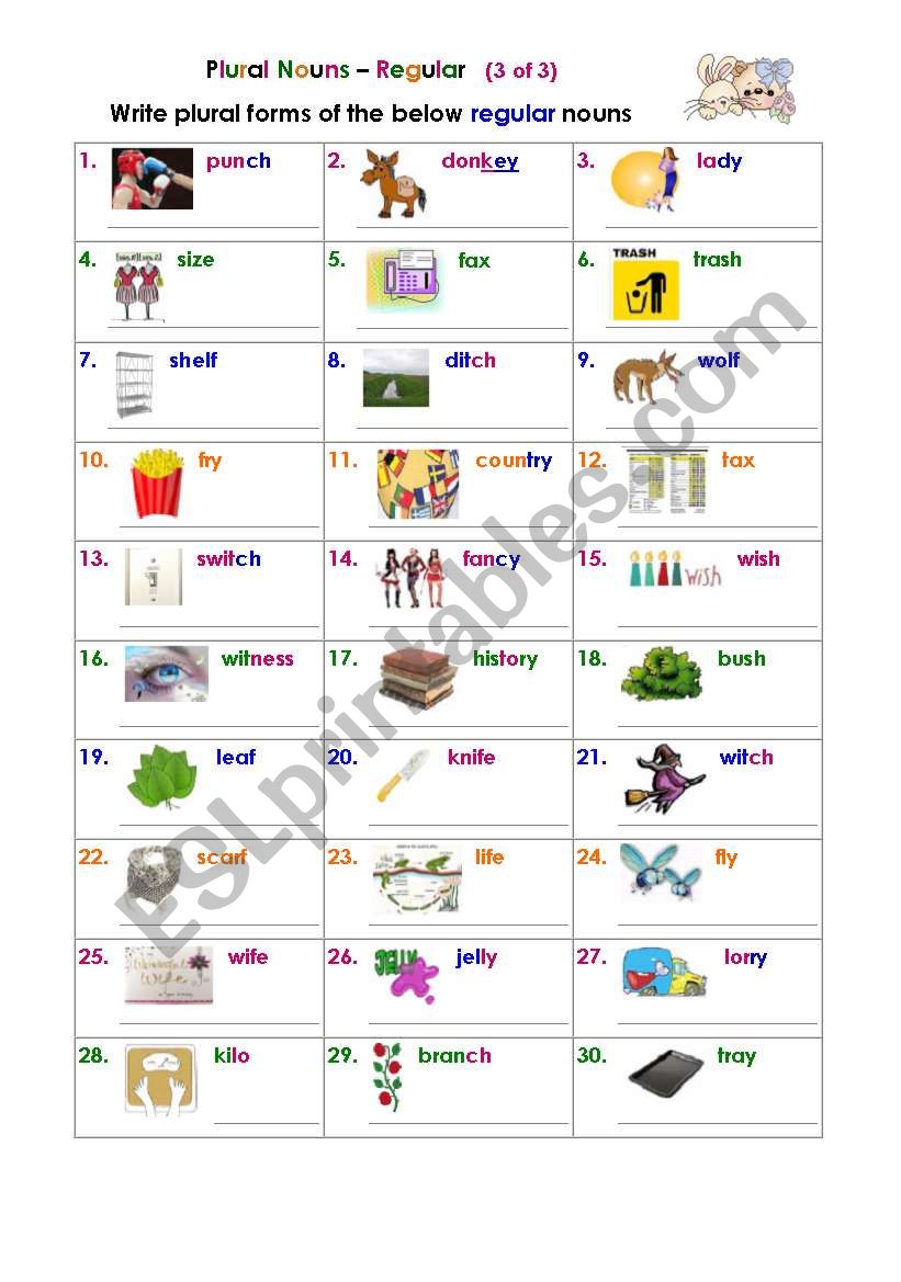 Plural Nouns – Regular (3 of 3) - ESL worksheet by rueti