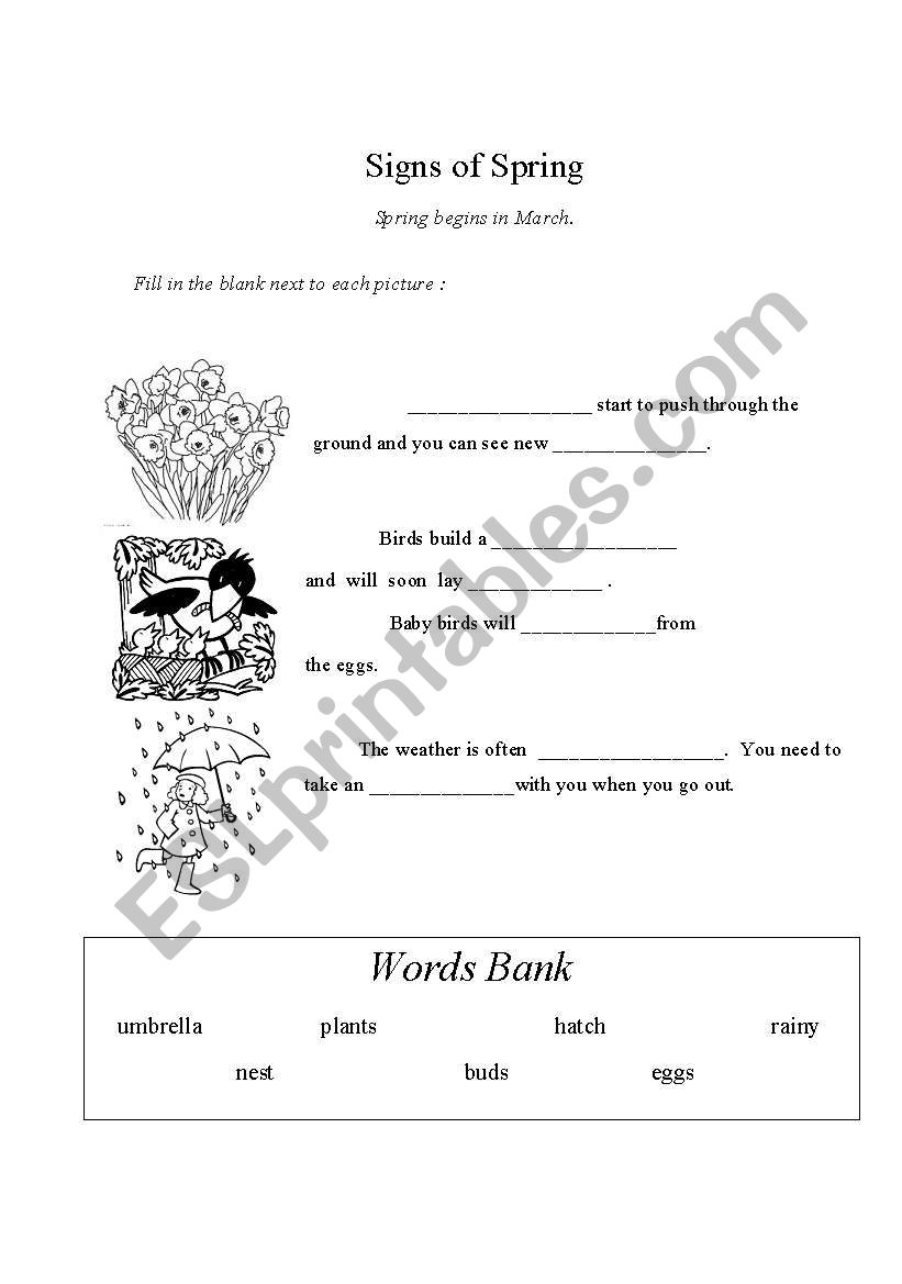 signs of spring worksheet