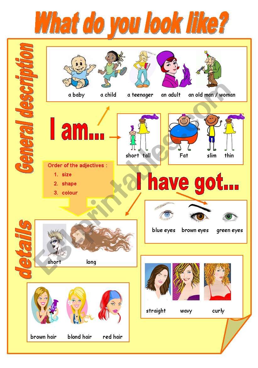 What do you look like? worksheet