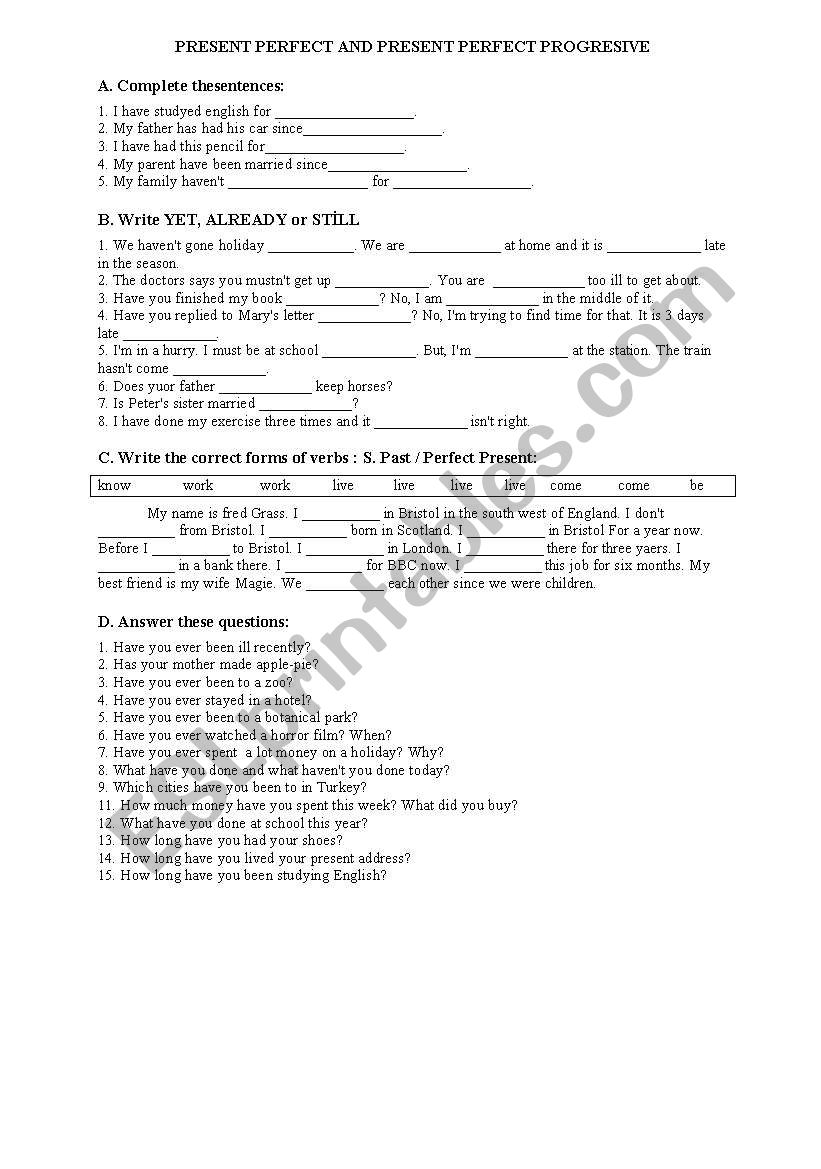  present perfect tense worksheet