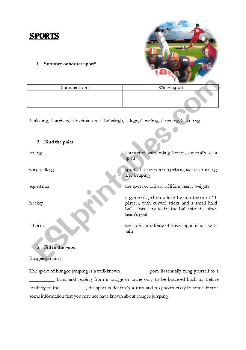 Sports worksheet