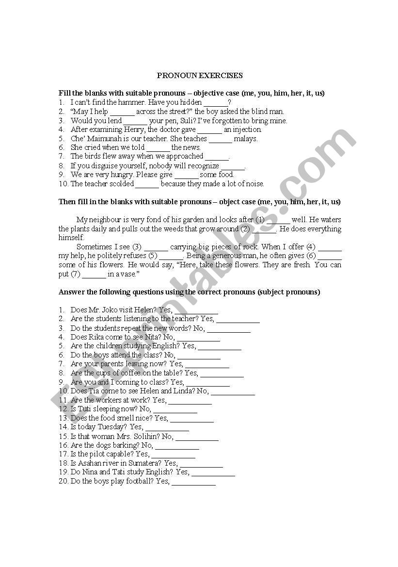 Pronoun Exercises worksheet