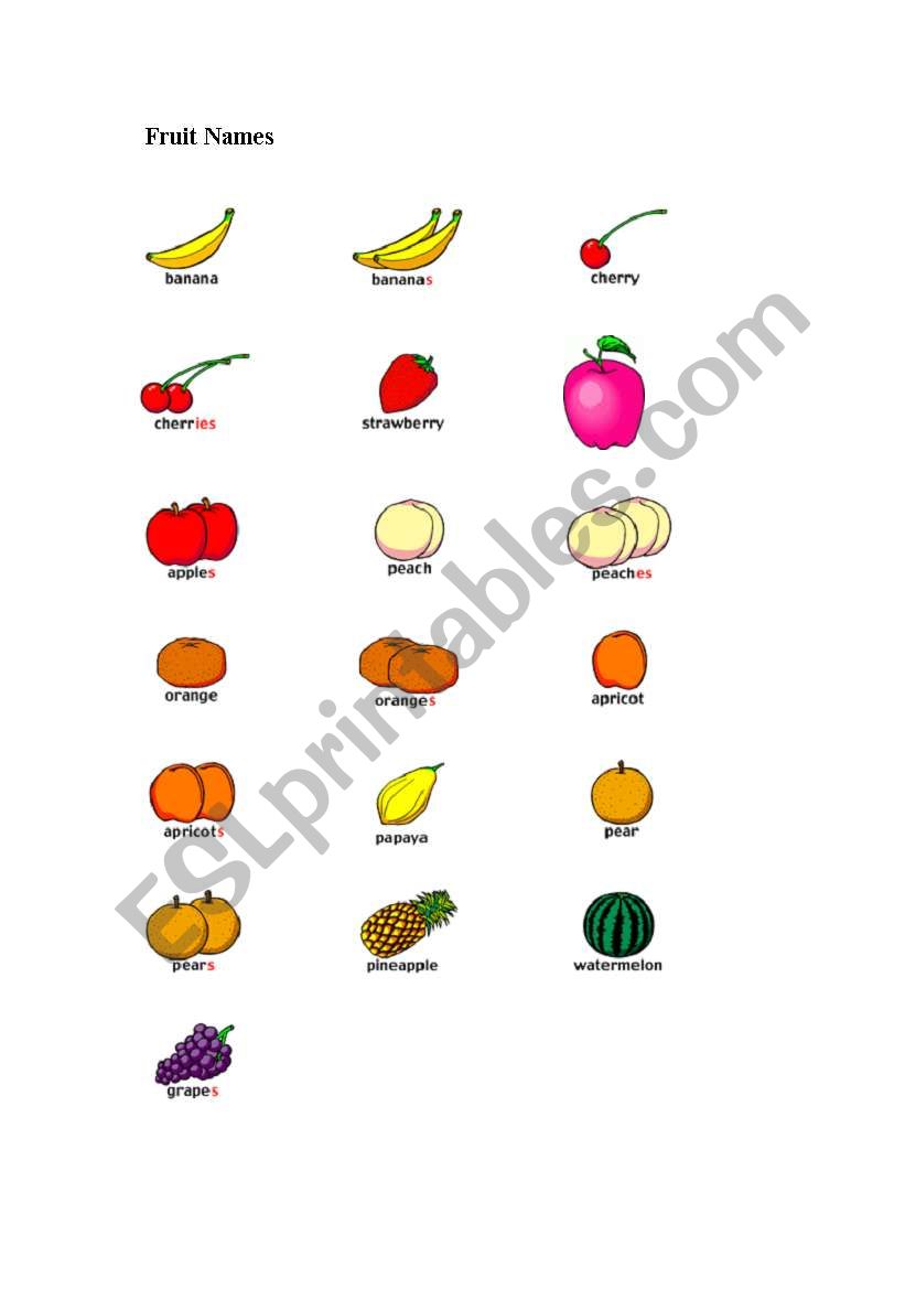 fruits and vegetables. miniflashcards