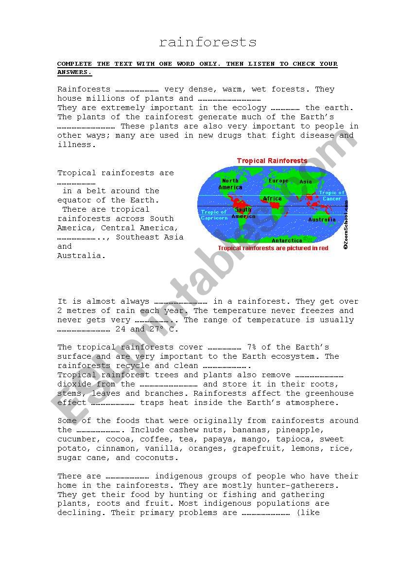 Rainforests worksheet