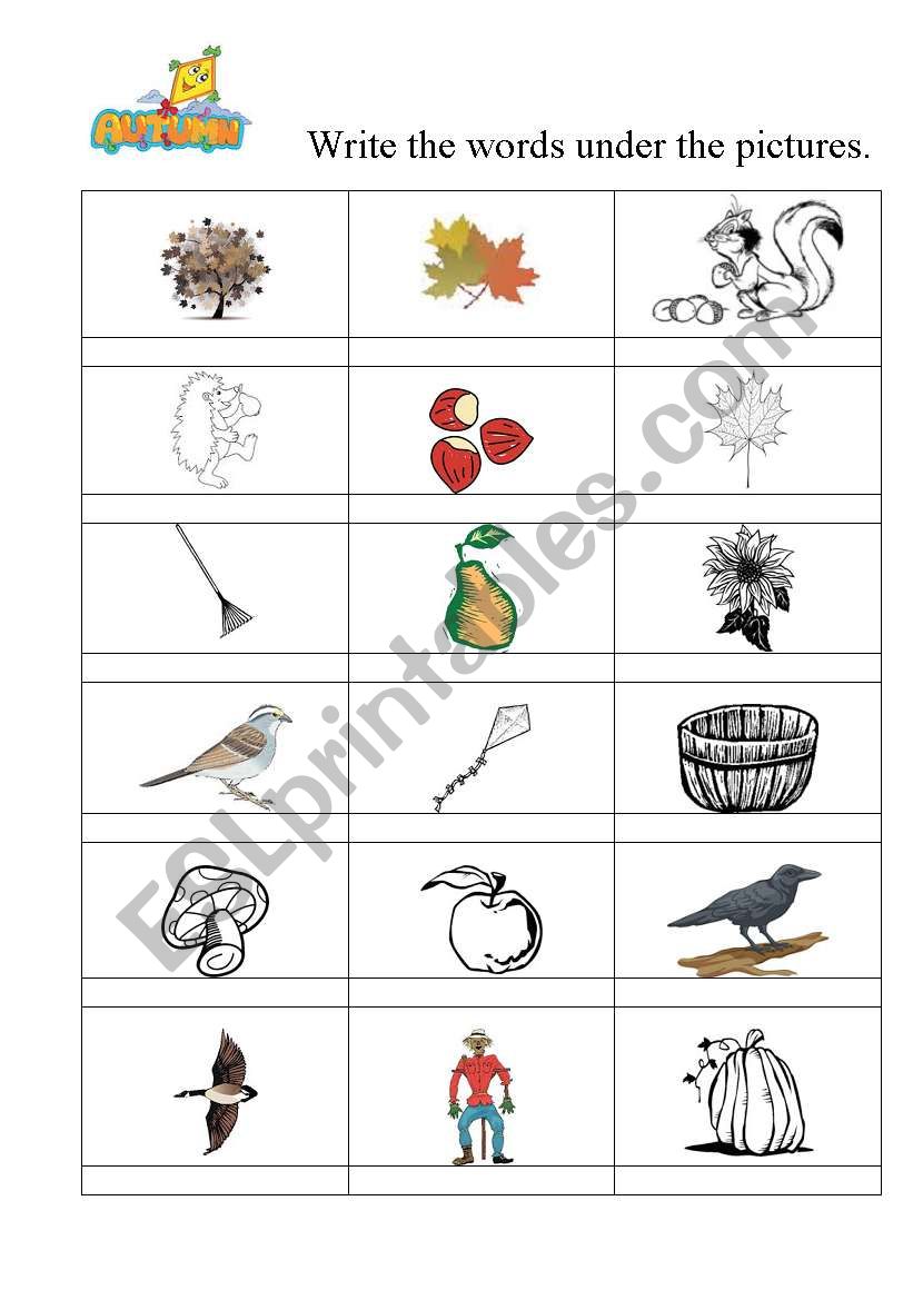 autumn vocabulary worksheet