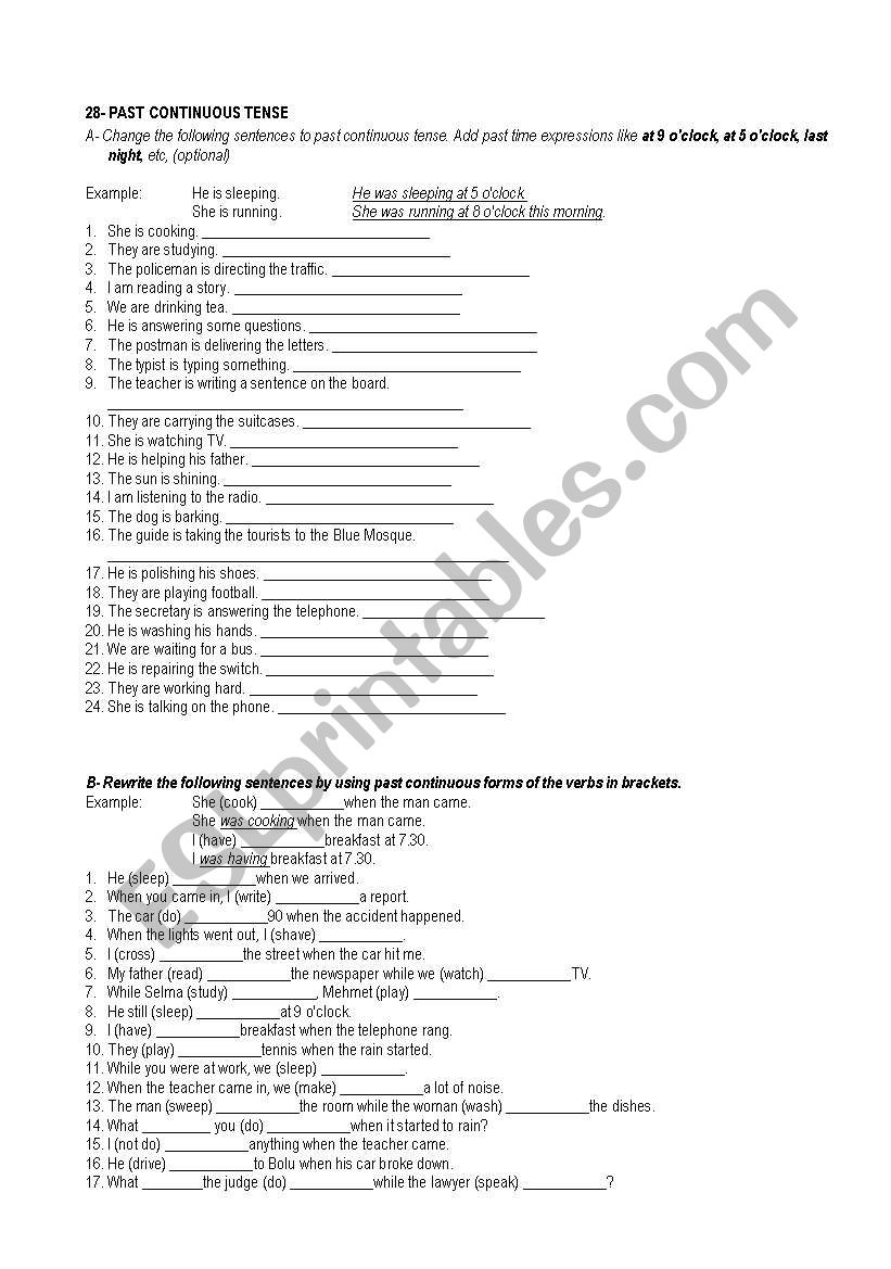 past continuous worksheets worksheet