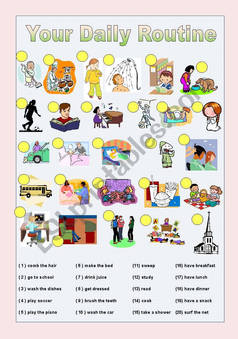 Daily Routine Vocabulary Pratice ESL Worksheet By Katisolar