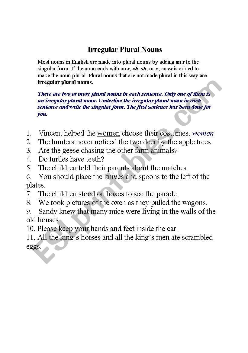 irregular plural nouns worksheet