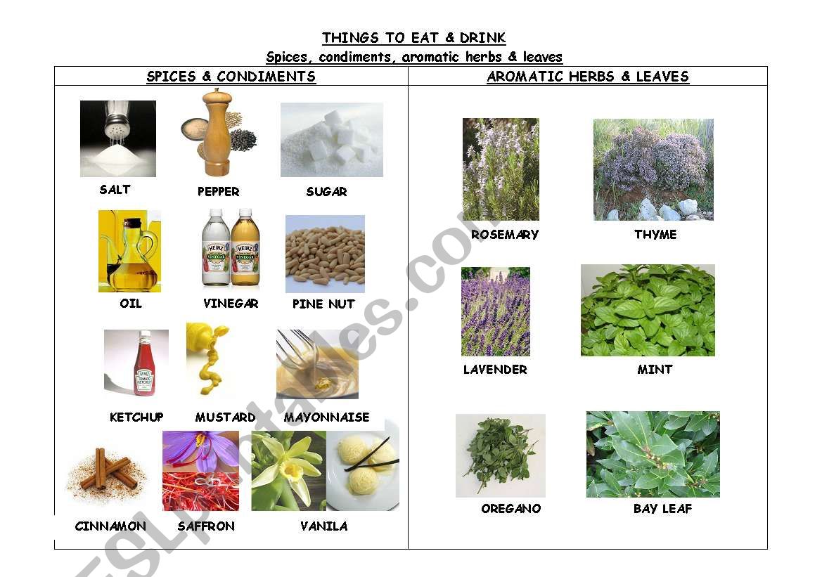 THINGS TO EAT & DRINK. SPICES, CONDIMENTS & AROMATIC HERBS