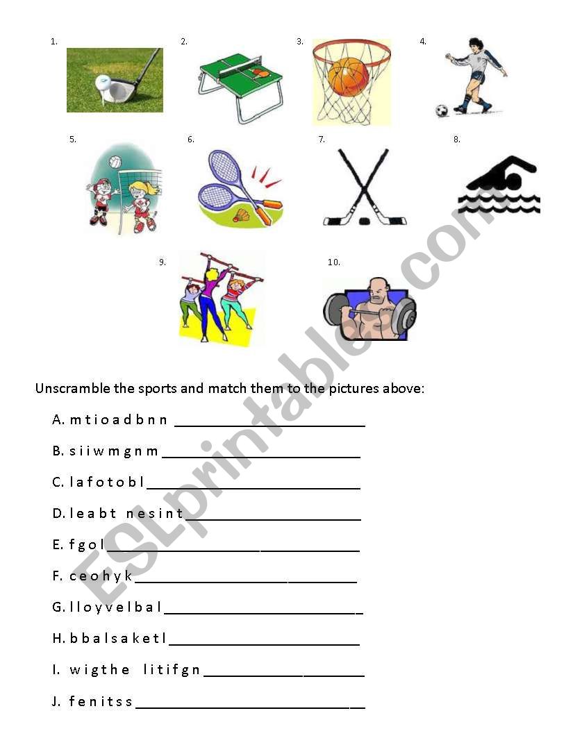 Sports vocabulary  worksheet