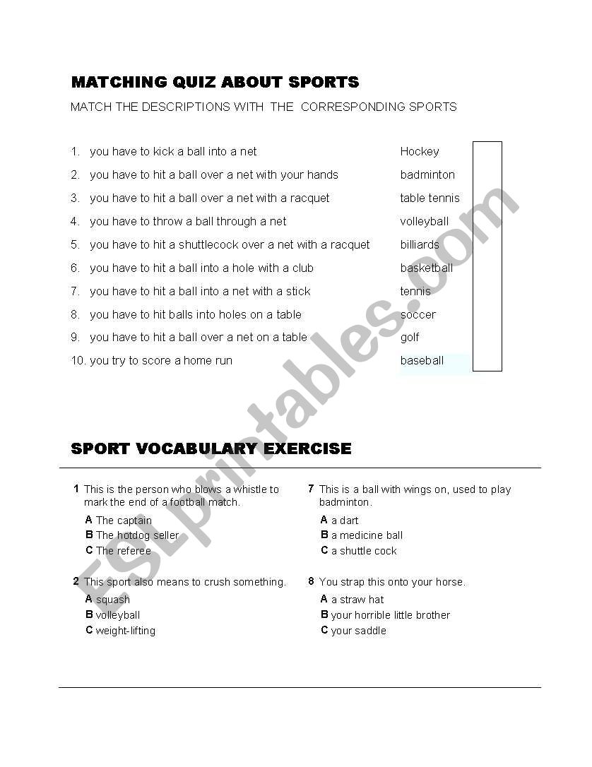 Exercises about Sports worksheet
