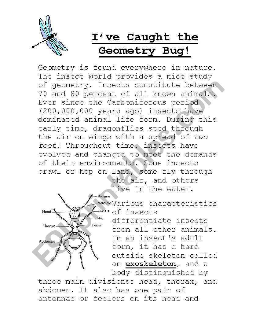 Geometry Bug lesson worksheet