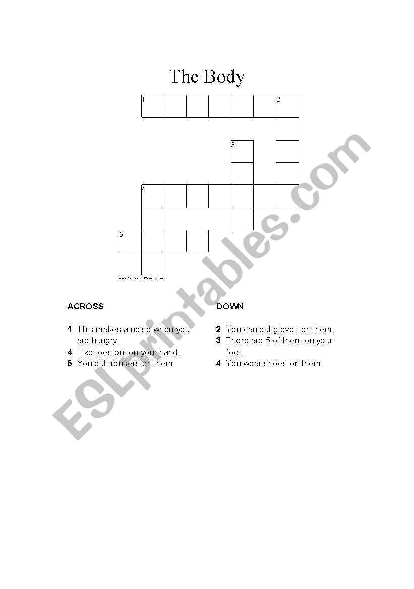 English worksheets: Body part crossword and solution