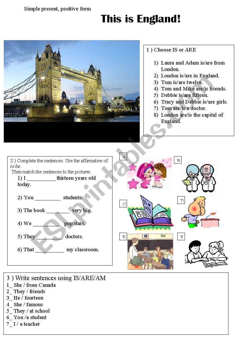 simple present worksheet