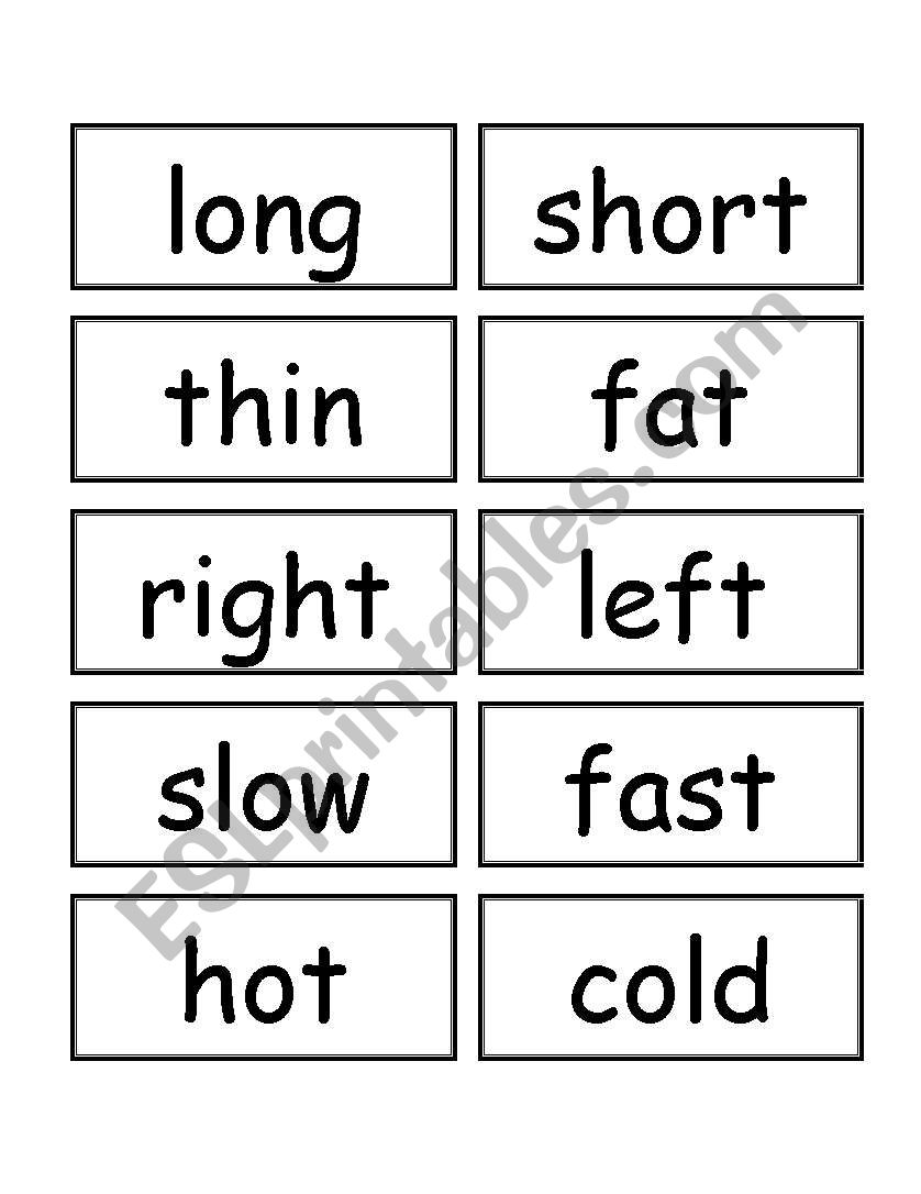 opositive  worksheet