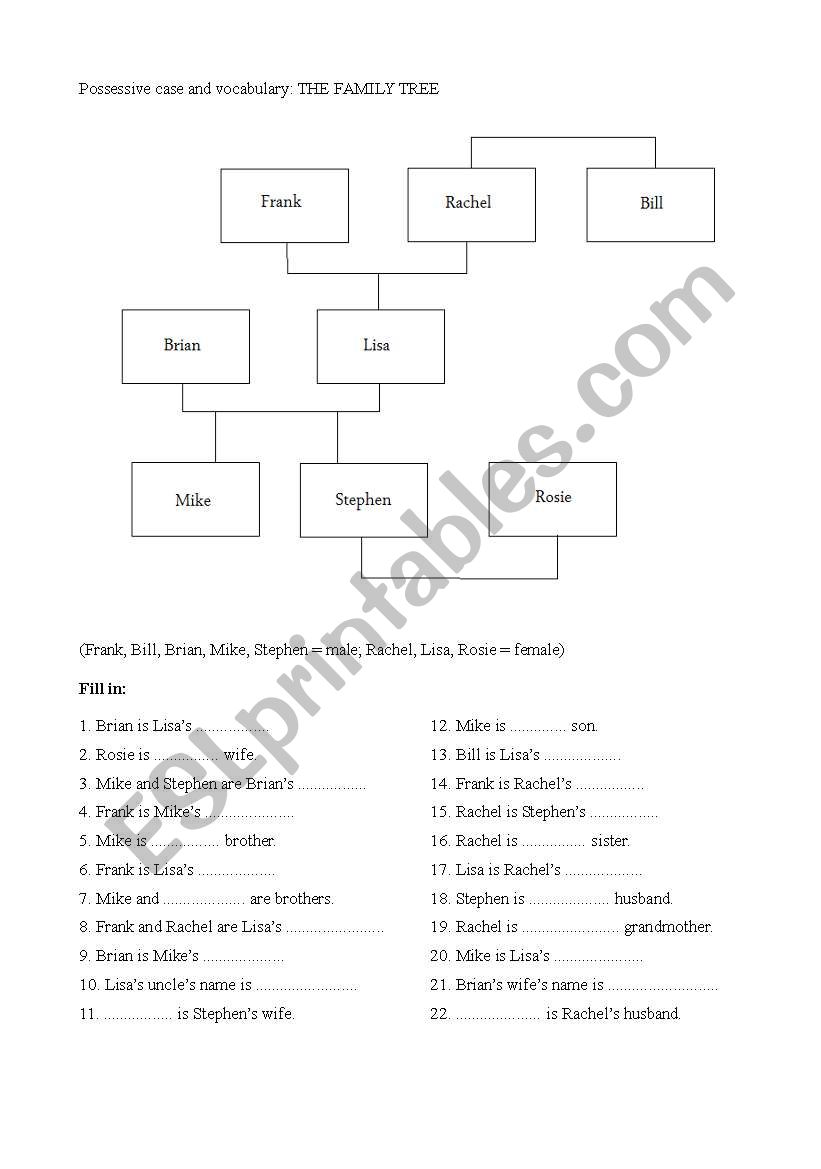 Possesive case practice worksheet