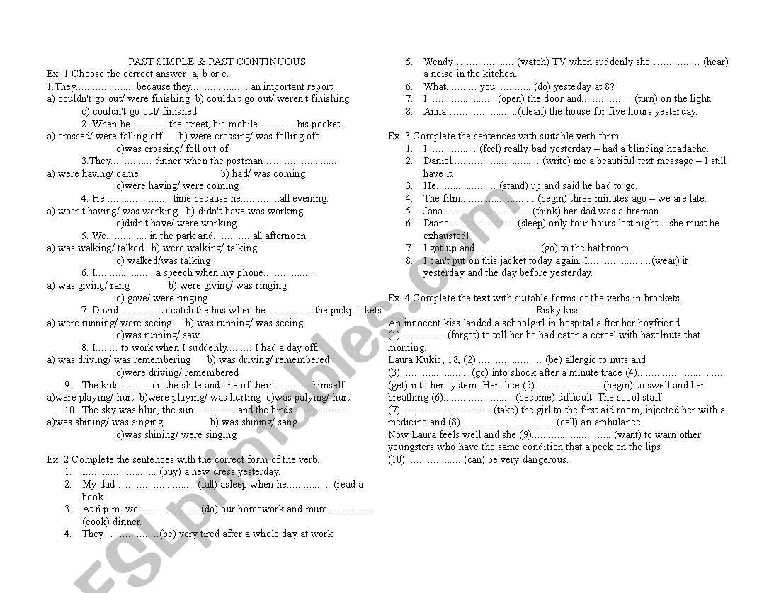 Past Simple and Past Continuous excercises - ESL worksheet by nique1303