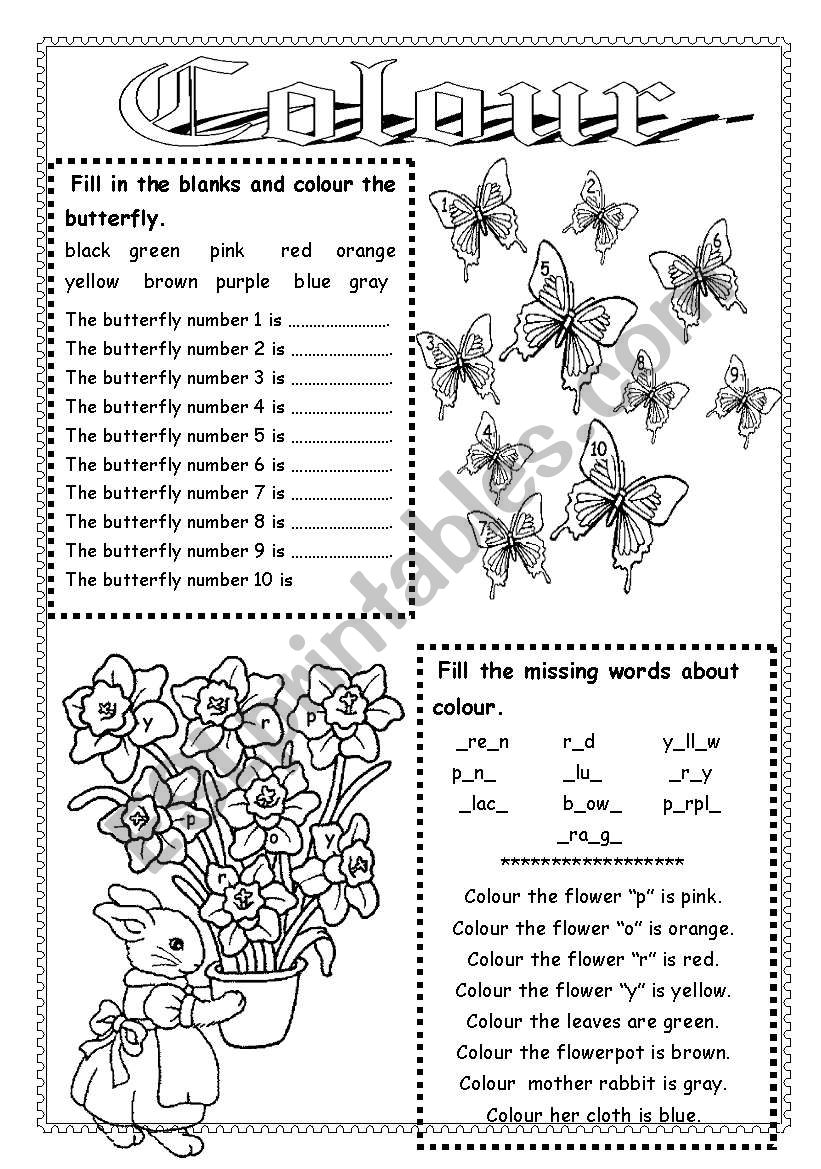 Colour worksheet