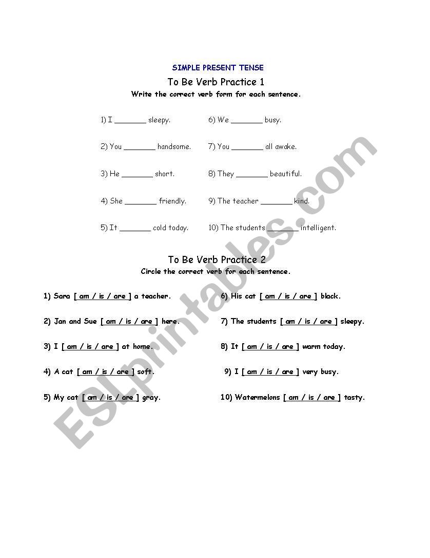 To Be Present Perfect Tense worksheet