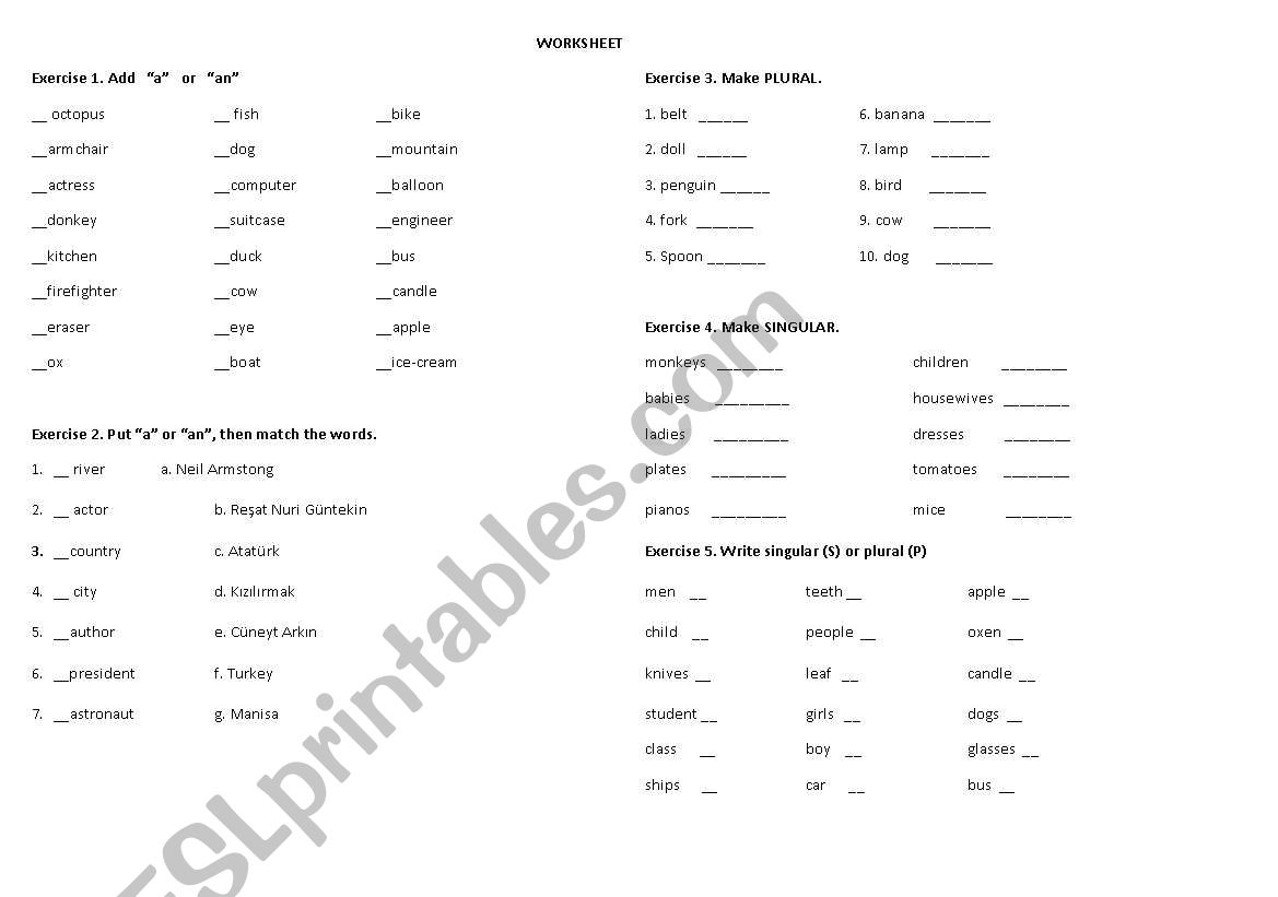 a/an and singular/plural worksheet