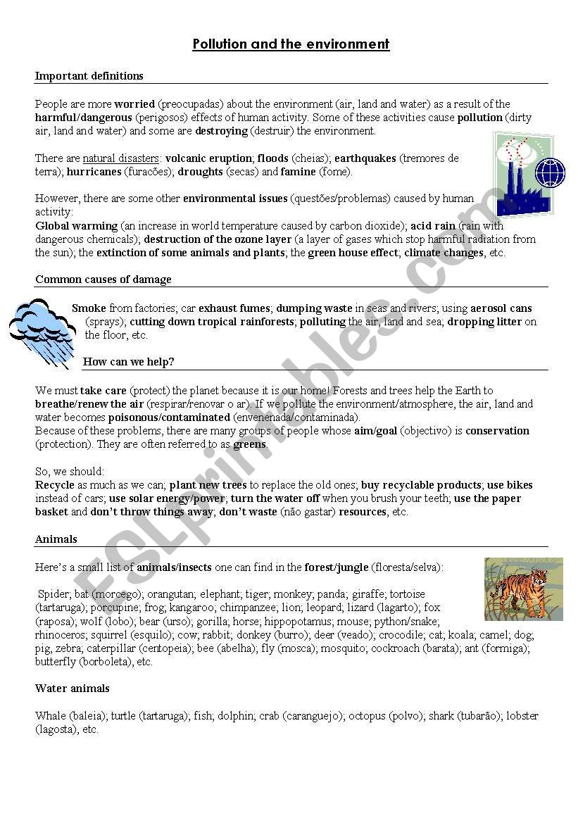 Pollution and the environment worksheet