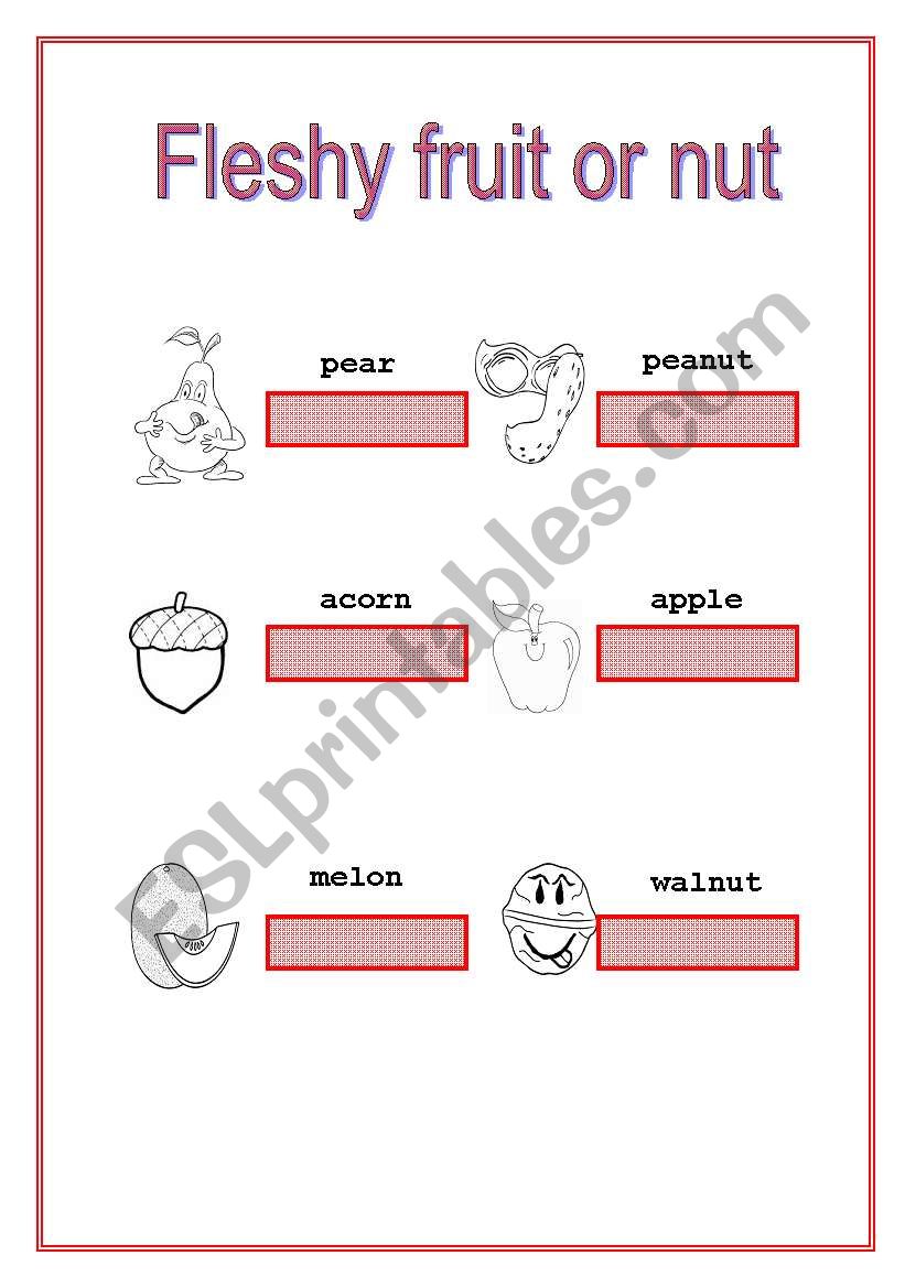 fruit or nut worksheet